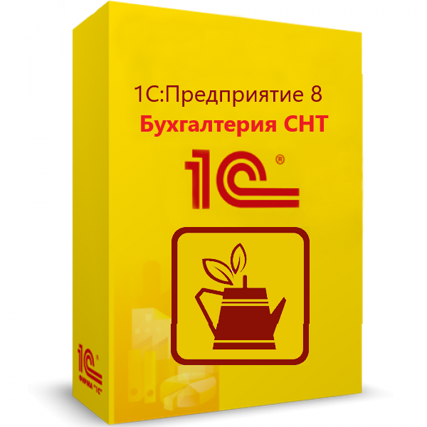 1С:Предприятие 8. Бухгалтерия СНТ. Электронная поставка  | GameKeySoft