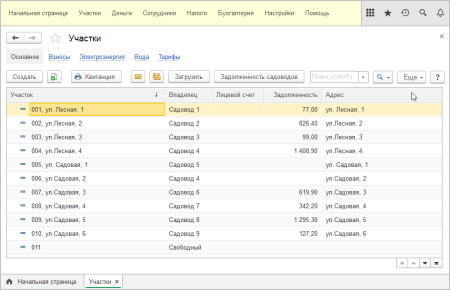 1С:Садовод. Базовая версия. Электронная поставка  | GameKeySoft